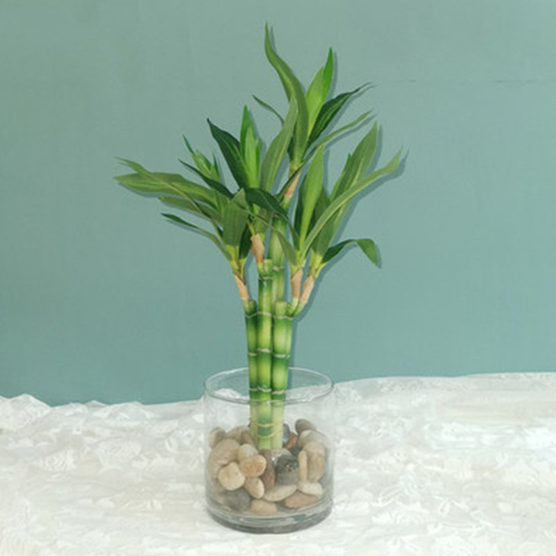 Outdoor Furniture Green - New 40cm rFtificial Lucky Bamboo Succulent