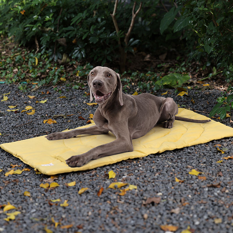 Portable Pet Mat Foldable Pet  - Outdoor Rug Waterproof review and price