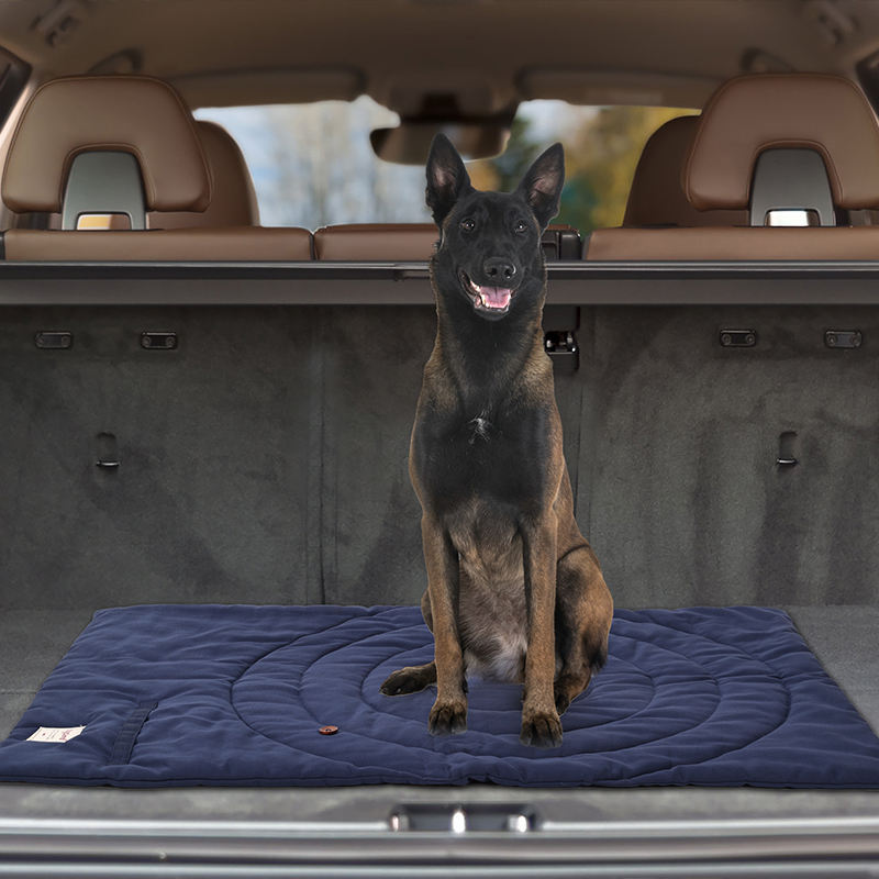 Portable Pet Mat Foldable Pet  - Outdoor Rug Waterproof review and price